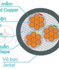 Hình ảnh: Cáp điện lực hạ thế (3 lõi, ruột đồng, cách điện XLPE, PVC).