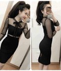 Hình ảnh: Đầm body cột nơ phối lưới tay dài