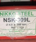 Hình ảnh: Que hàn NIKKO NSK 309L