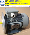 Hình ảnh: 1tz9003 1ab52 2jb4 z 1av3105b code: 5401003003002 động cơ điện 3 pha lammers việt nam song thành công