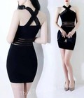 Hình ảnh: Đầm body cổ yếm phối lưới