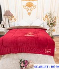 Hình ảnh: Chăn Lông cừu Lasante' - Scarlet Đỏ Ngân Hạnh