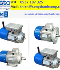 Hình ảnh: TF63A 4 14 động cơ điện 3 pha m.t motori elettrici việt nam song thành công three phase electric motors