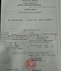 Hình ảnh: Bán gấp nhà 1 trệt 1 lầu tân chánh hiệp quận 12 tp hcm
