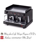 Hình ảnh: Chuyên cung cấp máy pha Cà Phê chuyên nghiệp - Wega Pegaso  EVD 2