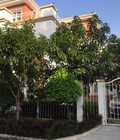 Hình ảnh: Biệt thự tứ lập 16x16m khu Mỹ Gia 2, Phú Mỹ Hưng 4PN nhà đẹp cho thuê