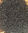 Hình ảnh: Cung cấp đậu đen các loại số lượng lớn