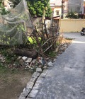 Hình ảnh: Cần bán 2 lô đất canh nhau mới đấu giá khu hành chính mới xã Gia Thịnh Gia Viễn Ninh Bình