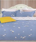 Hình ảnh: Bộ chăn ga chun Alina đũi 10 tại Hà Nội