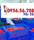 Hình ảnh: Sóng Nhựa 3 Tấc 9 Sọt Nhựa 3 Tấc 9 đựng trái cây giá rẻ 0936367088 MR.Hải.