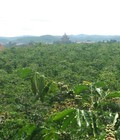 Hình ảnh: Chính chủ cần bán 6000m2 đất thôn Thiện Chí, xã Ninh Gia, Đức Trọng, Lâm Đồng.