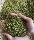 Hình ảnh: Đậu xanh hạt làm thực phẩm