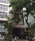 Hình ảnh: New hotel Quận 7 Cho thuê khách sạn cao cấp 15 phòng ở Phú Mỹ Hưng
