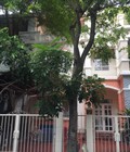 Hình ảnh: New new Cho thuê gấp biệt thự liên kế Mỹ Thái 1 ở Phú Mỹ Hưng, Quận 7
