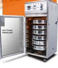 Hình ảnh: Tủ sấy hoa quả 6 khay