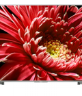 Hình ảnh: Tivi Sony Smart 4K 49 inch KD 49X8500G