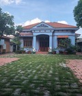 Hình ảnh: Cho thuê toàn bộ căn nhà 1800m2 vĩnh lộc b bình chánh tp hcm