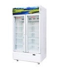 Hình ảnh: Tủ mát Sanaky VH 1009HP Giá hơn 22 triệu