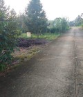 Hình ảnh: Cần bán lô đất gần 4 sào mặt tiền đường bê tông tại daloa dahuoa tỉnh lâm đồng