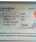 Hình ảnh: Làm visa Trung Quốc nhanh giá hạt dẻ