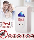 Hình ảnh: Thiết bị đuổi chuột hiệu quả nhất hiện nay,máy đuổi các loại côn trùng bằng sóng âm,Bảo hành 1 năm