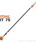 Hình ảnh: Máy cắt cành trên cao stihl ht75 chính hãng xuất xứ Brazil