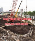 Hình ảnh: Cho thuê cừ larsen uy tín tại Hà Nội