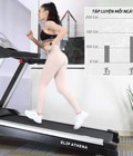 Hình ảnh: Máy chạy bộ điện đơn năng Elip Athena