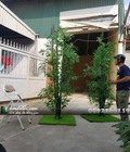 Hình ảnh: Cây tre giả 