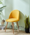 Hình ảnh: Ghế ăn có nệm VELVET-F sang trọng phong cách Châu Âu tp HCM