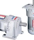 Hình ảnh: Motor giảm tốc
