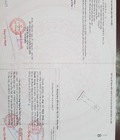Hình ảnh: Chính chủ bán gấp 2 lô đất tại tân hòa phú mỹ brvt. lh: 0866190787 và 0979932527