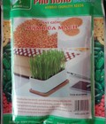 Hình ảnh: Hạt giống mầm lúa mạch non Phú Nông