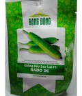 Hình ảnh: Hạt giống bầu sao lai Rạng Đông