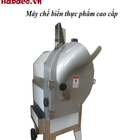Hình ảnh: Máy thái rau củ quả dạng quân chì 0917791981