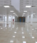 Hình ảnh: Cho thuê văn phòng mới 100% tại phố Thành Thái, Cầu Giấy, Hà Nội
