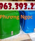 Hình ảnh: Thùng giao hàng loại nhỏ, thùng chở hàng sau xe máy