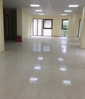 Hình ảnh: Bán tòa nhà 150m2 9T phố Hoàng Quốc Việt cho thuê 200tr/th LH 962664136