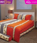 Hình ảnh: Bộ ga gối Sông Hồng Cotton C15 028 tại Hà Nội