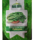 Hình ảnh: Hạt giống cải bó xôi (rau chân vịt) Rạng Đông