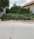 Hình ảnh: Bán đất mặt tiền đường Bông Văn Dĩa xã Tân Kiên, huyện Bình Chánh