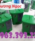 Hình ảnh: Thùng rác 2 ngăn 40L đạp chân, thùng rác nhựa HDPE 40 Lít