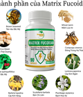 Hình ảnh: Tăng cường sức khỏe với Matrix Fucoidan