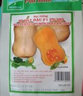 Hình ảnh: Hạt giống bí hạt đậu Phú Nông