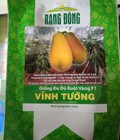 Hình ảnh: Hạt giống đu đủ ruột vàng vĩnh tường Rạng Đông