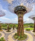 Hình ảnh: Tour Singapore Malaysia 5 ngày 4 đêm