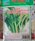 Hình ảnh: Hạt giống cải ngồng (cải ngọt ăn bông)