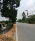 Hình ảnh: Bán đất thổ vườn giá rẻ ở bình mỹ củ chi ,chính chủ số hồng riêng từng nền