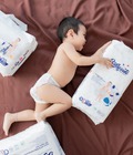 Hình ảnh: Bán Bỉm Babycute Hàng việt, chất lượng Châu Âu, Khuyến mãi đến 31/3/2020