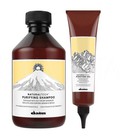 Hình ảnh: Combo gội Gel trị gàu Davines Purifying